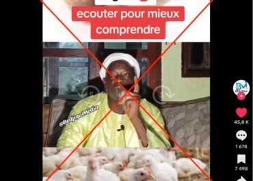 Non, les poulets de chair ne sont pas à l’origine directe du diabète ou du cancer