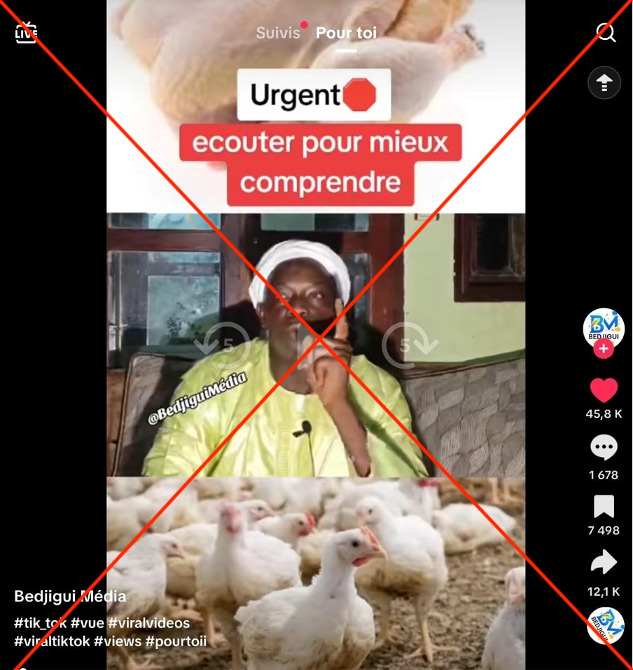 Non, les poulets de chair ne sont pas à l’origine directe du diabète ou du cancer